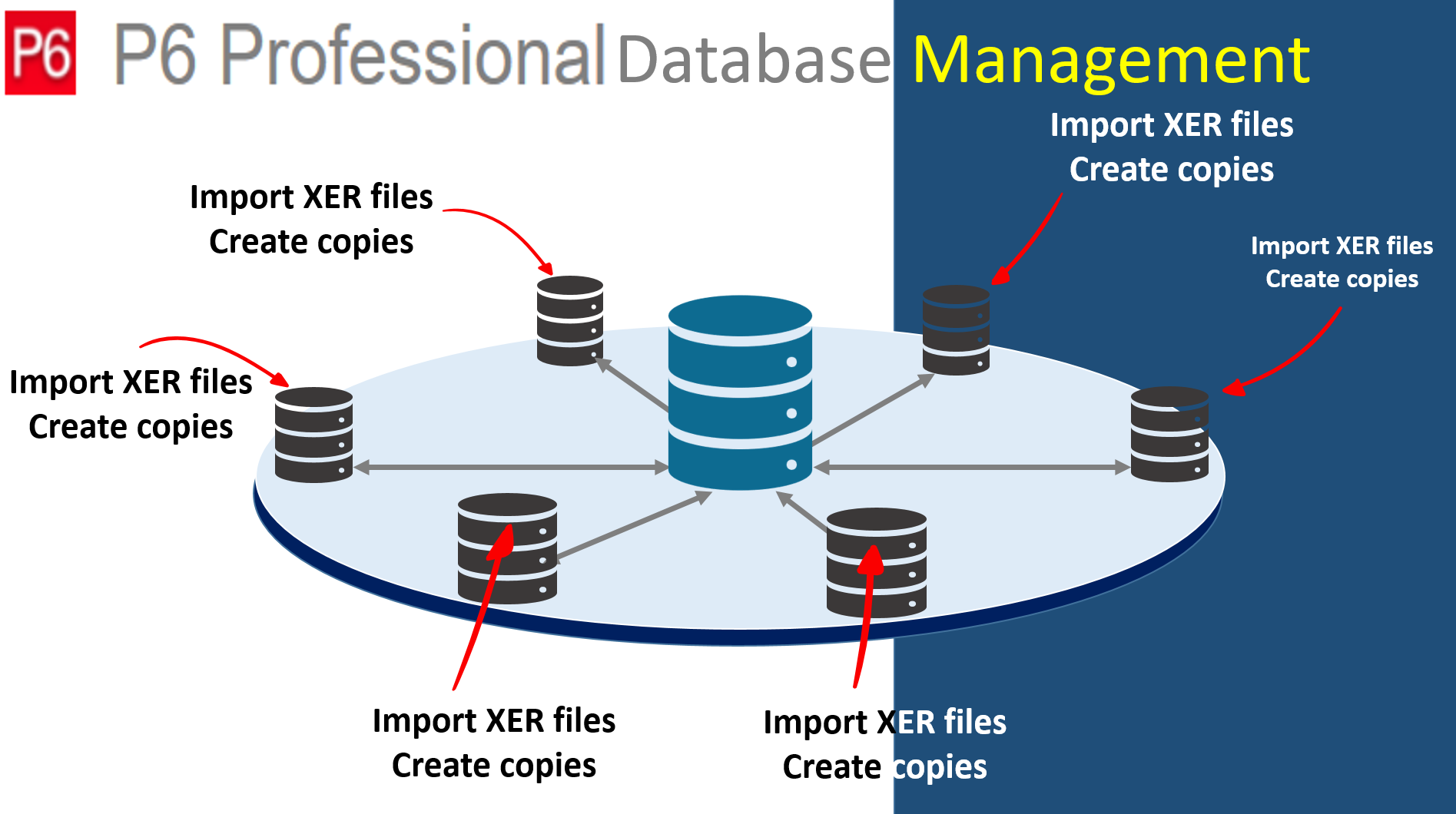 Professional Database Management